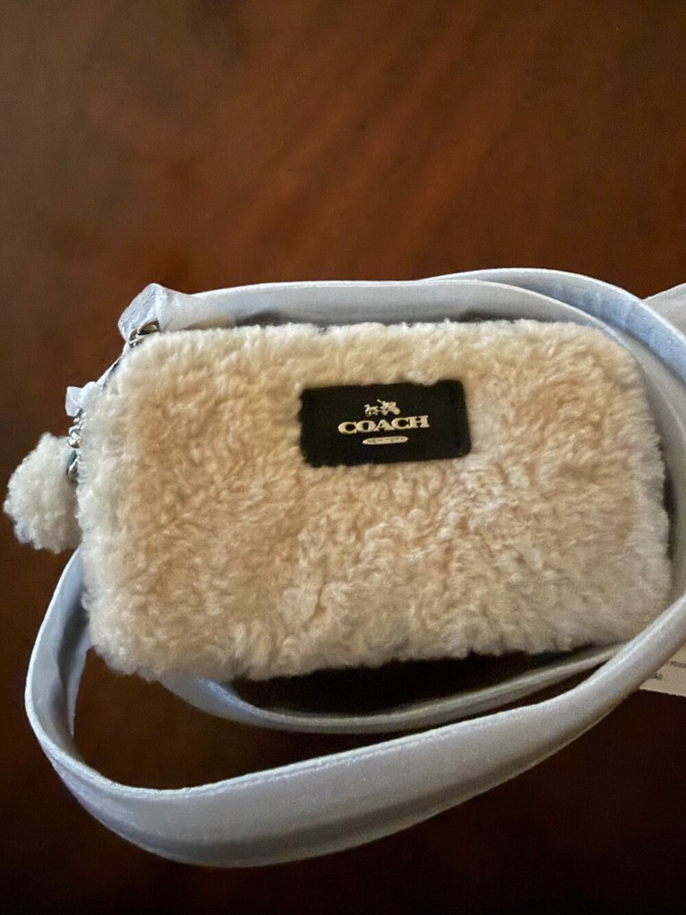 NEW with Tags-Coach Leather and Shearling Crossbody Pouch Purse-Style 53551